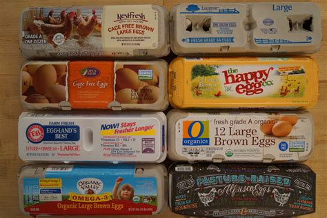 Egg brands. Things To Know About Egg brands. 
